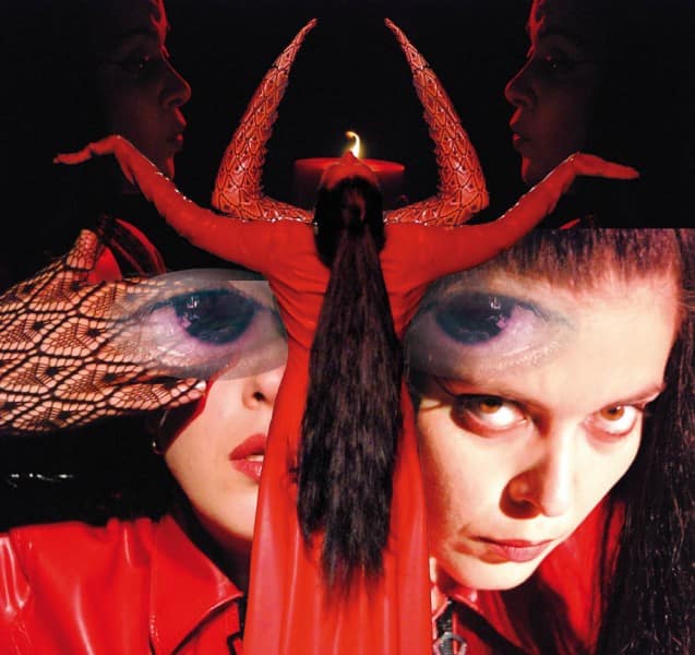 VisuelCarteaVitelului